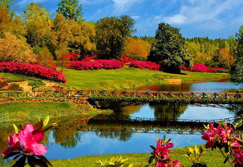 ALQUILER DE COCHES SPRING TAKSIM ALQUILER DE COCHES ECONOMICO TAKSIM ALQUILER DE COCHES SPRING