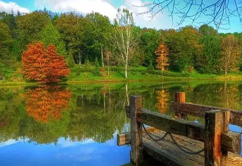 SONBAHAR TAKSIM ARAC KIRALAMA BEYOGLU ARAC KIRALAMA SONBAHAR TAKSIM MINIBUS KIRALAMA 