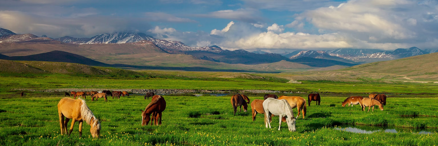 کیش ڈپازٹ کار کرایہ پر لینا استنبول ہوائی اڈہ، کیش ڈپازٹ کار کرایہ پر لینا صبیحہ گوکسن ہوائی اڈہ، کیش ڈپازٹ کار کرایہ پر لینا تکسم، فوری کار کرایہ پر لینا اور معیاری گاڑیاں کریڈٹ 